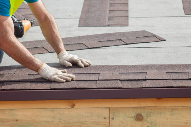 Best Roof Moss and Algae Removal  in North Oaks, MN